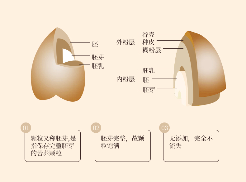 葛根苦蕎小茶球(圖5)